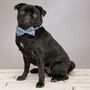 The Salcombe Blue Nautical Anchor Dog Collar Bow Tie, thumbnail 7 of 8