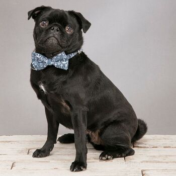 The Salcombe Blue Nautical Anchor Dog Collar Bow Tie, 7 of 8