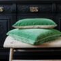 Emerald Velvet Cushion, thumbnail 1 of 2