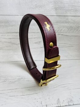 Personalised Padded Luxury Leather Dog Collar, 8 of 12