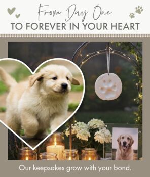 Air Drying Pet Paw Print Impression Moulding Kit, 3 of 12