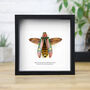 Metallic Wood Boring Beetle Insect Bug Entomology Taxidermy Box Frame, thumbnail 1 of 3