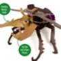 Build Your Own Stag Beetle, thumbnail 4 of 9