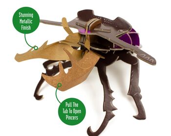 Build Your Own Stag Beetle, 4 of 9