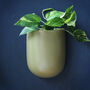 Olive Green Ceramic Wall Planter, thumbnail 5 of 5