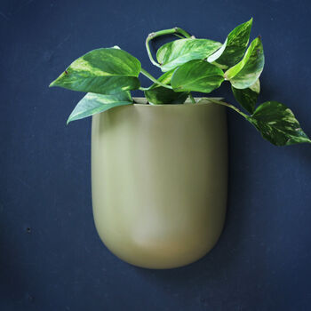 Olive Green Ceramic Wall Planter, 5 of 5