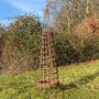 Willow Spiral Garden Obelisk, thumbnail 1 of 5