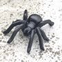 Set Of Two Solid Cast Iron Spiders In Gift Pouch, thumbnail 4 of 4