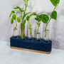 Propagation Station | Gold And Navy, thumbnail 3 of 4
