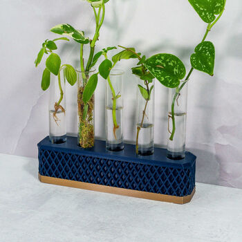 Propagation Station | Gold And Navy, 3 of 4