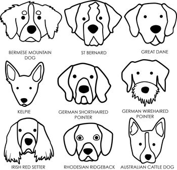 Personalised No.One Dog Dad Organic Unisex T Shirt, 8 of 12