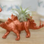 Hand Made Stegosaurus Dinosaur Planter, thumbnail 5 of 5