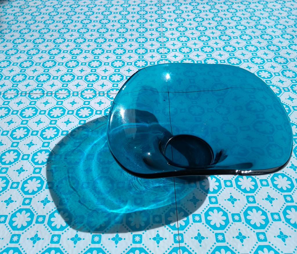 Rose Des Vents Vinyl Floor Tiles By Zazous