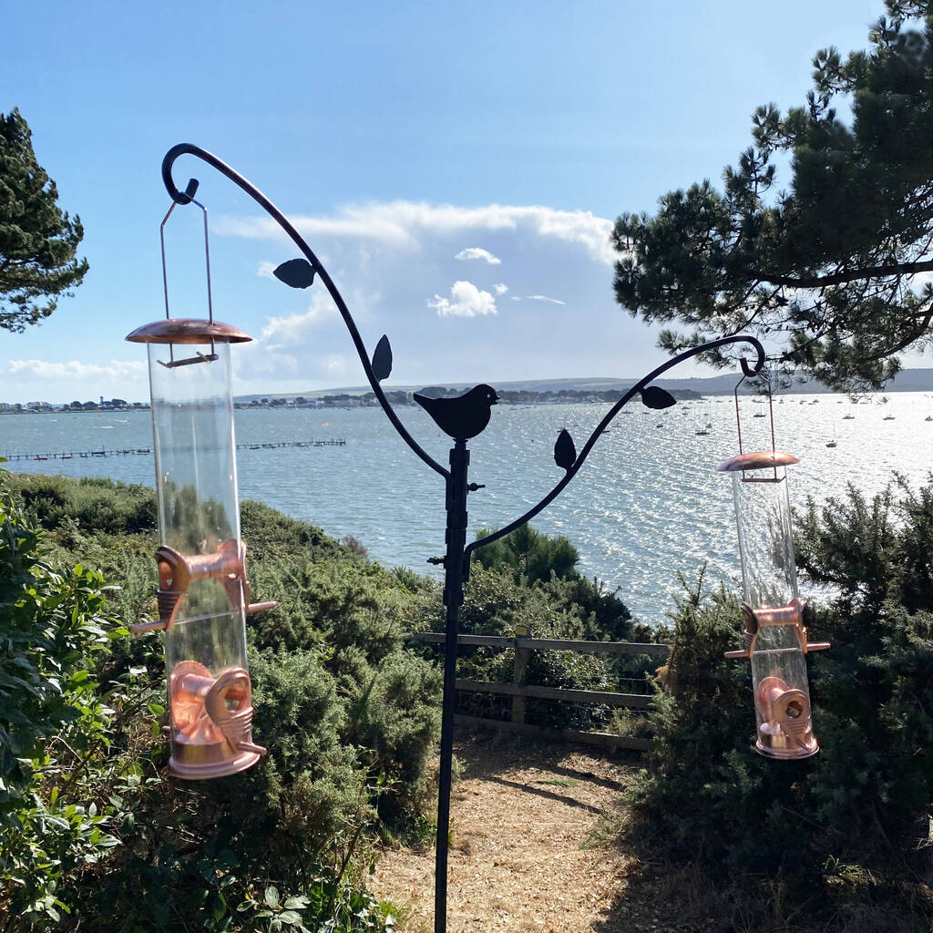 Brownsea Balcony Bird Feeding Station And Feeders By Garden Selections