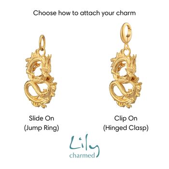 Chinese Dragon Charm, Slide On Or Clip On Charm, 3 of 5