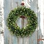 Holly And Red Berry Winter Wreath, thumbnail 1 of 6