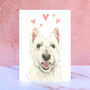 West Highland Terrier Licks And Kisses Greetings Card, thumbnail 1 of 1
