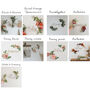 Personalised Couple's Floral Name Sign, thumbnail 7 of 9