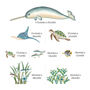 Narwhal, Sea Turtles And Fish Ocean Scene Wall Stickers, thumbnail 7 of 7