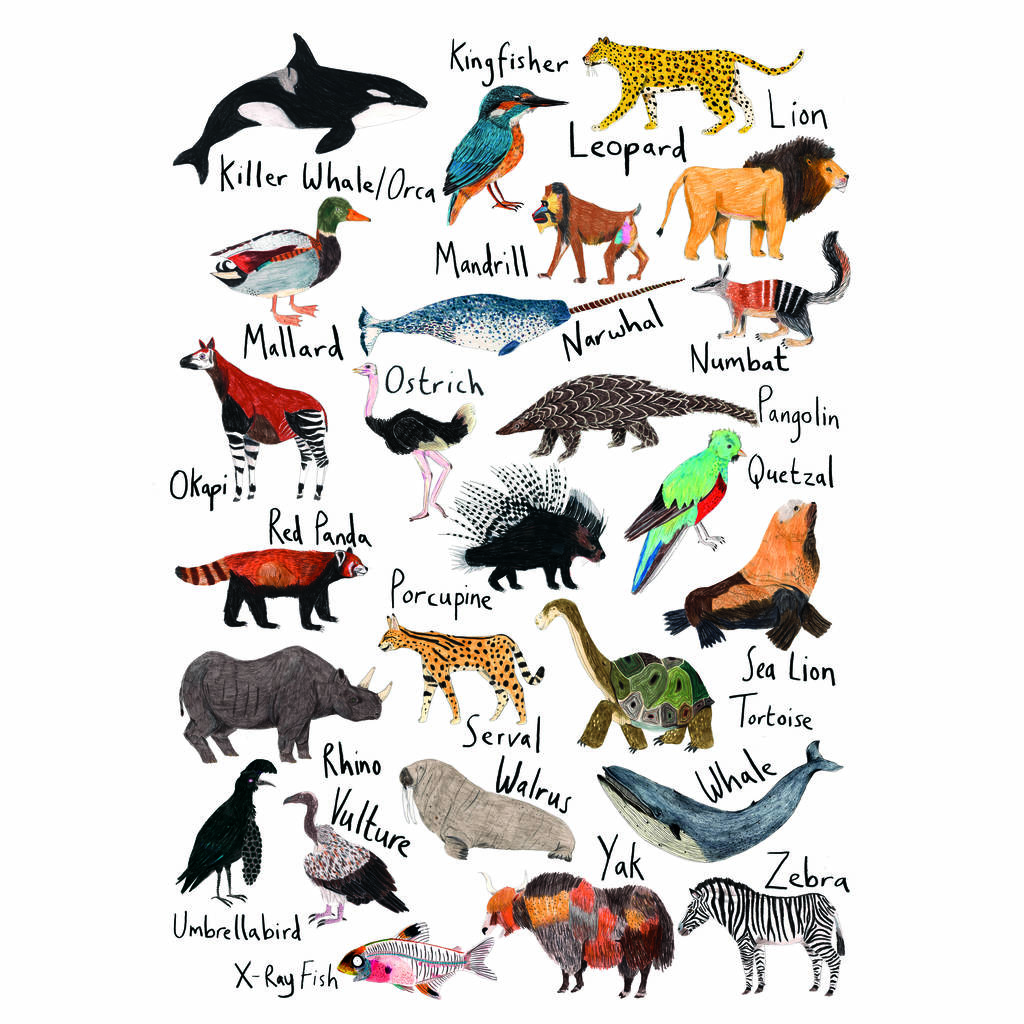 Personalised Dinosaur Name  Print By James Barker 