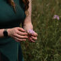 Summer Foraging Workshop For One In The South Downs, thumbnail 6 of 11