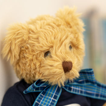 Classic Teddy Bear With Initial Shirt, 6 of 7