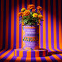 Personalised October Grow Your Own Flower Gift, thumbnail 1 of 4