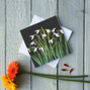 Snowdrops Greetings Card, thumbnail 2 of 2