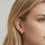 Kin 18 K Gold Plated Knot Earrings, thumbnail 2 of 5