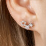 Silver Plated Triple Star Crystal Studs, thumbnail 1 of 3