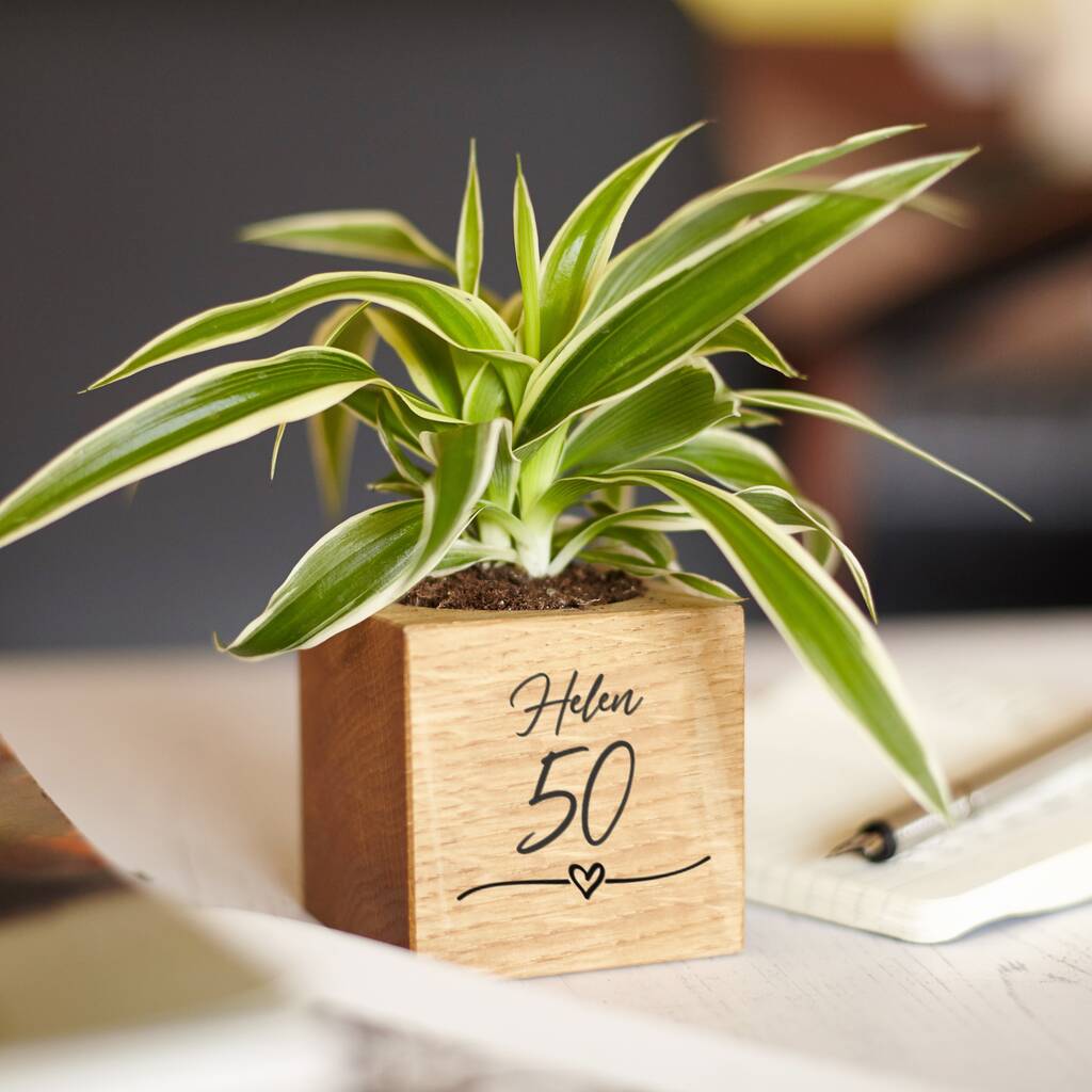 Personalised 50th Birthday Micro Plant Pot, 1 of 6