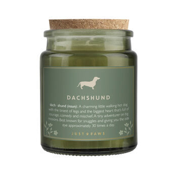 'Dachshund' Definition Large Green Candle • Dog Enthusiast • Just Paws • Gift Box, 3 of 4