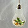 Light Bulb Money Plant Succulent Hanging Terrarium, thumbnail 1 of 2