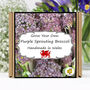 Gardening Gift. Broccoli Veg Growing Kit, thumbnail 1 of 6