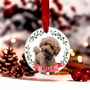 Personalised First Christmas Dog Bauble Tree Decoration, thumbnail 10 of 12