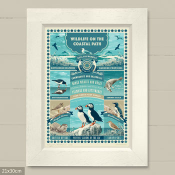 ‘British Coastal Wildlife Art Print’ Coastal Gift, 5 of 7