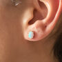 Sterling Silver Oval Opal Stud Earrings, thumbnail 1 of 7