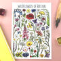 Wildflowers Of Britain Illustrated Postcard, thumbnail 1 of 10