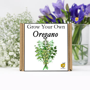 Gardening Gift. Grow Your Own Herbs. Oregano Seeds Kit, 2 of 4