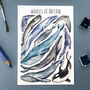 Whales Of Britain Illustrated Postcard, thumbnail 1 of 11