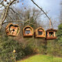 Wooden Bird Care Feeder And Nest Box Gift Set, thumbnail 2 of 9