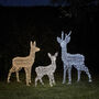 Swinsty Dual LED Battery Outdoor Reindeer Family, thumbnail 2 of 4