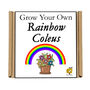 Gardening Gift. Grow Your Own Rainbow Coleus, thumbnail 4 of 4