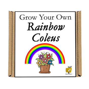 Gardening Gift. Grow Your Own Rainbow Coleus, 4 of 4