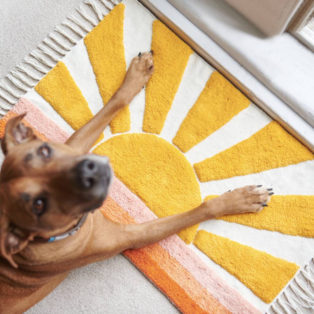 Sunset Tufted Rug, 1 of 4