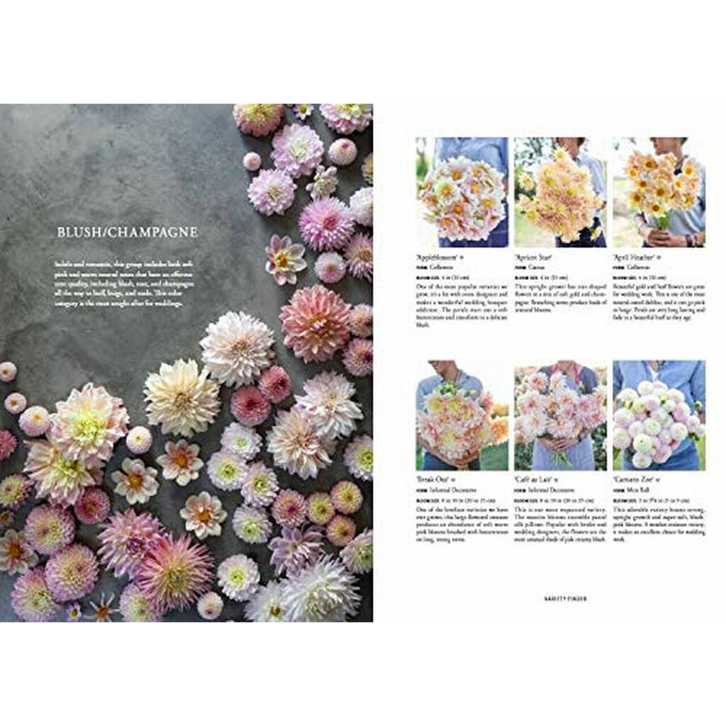 Floret Farm’s Discovering Dahlias By All Things Brighton Beautiful