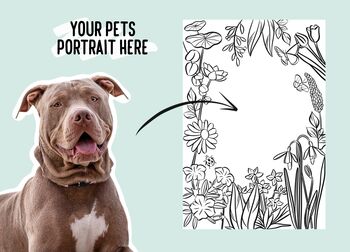 Pet Portrait Colouring Sheet, 4 of 9