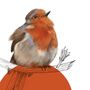 Robin British Bird Fine Art Illustration, thumbnail 2 of 2