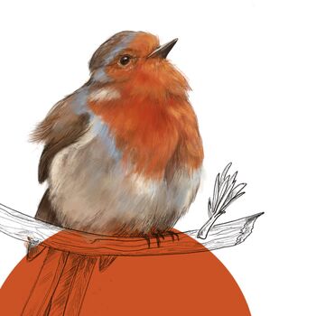 Robin British Bird Fine Art Illustration, 2 of 2