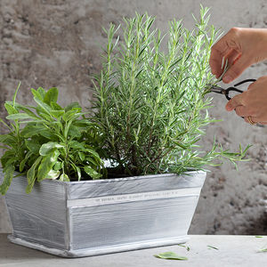 Garden Plant Pots and Herb Planters notonthehighstreet.com